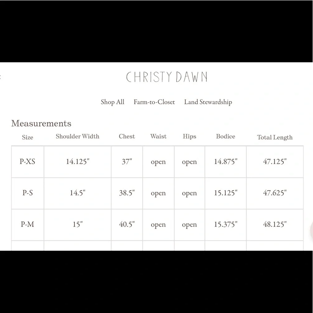 Christy Dawn The Della Dress I’m Carnelian Aster Garden Size XSP - Picture 7 of 7
